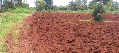 Land for sale in Ogwato, Siaya