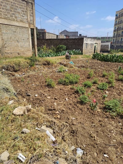 Land for sale in Kasarani 