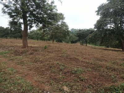 Land for sale in Kiambu