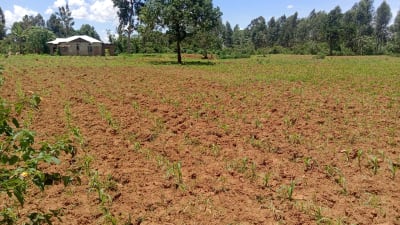 Land for sale in Marobo, off Mabanga Center