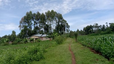 Land for sale in Bukembe, Bungoma 