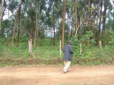 Land for sale in Bungoma