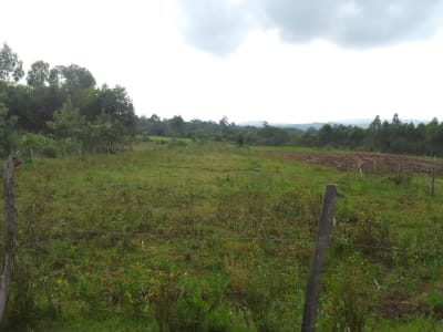 Land for sale in Bungoma