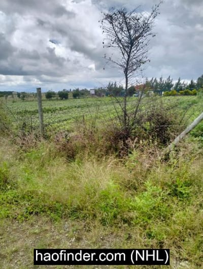 Land for sale in Kajiado - Kisaju