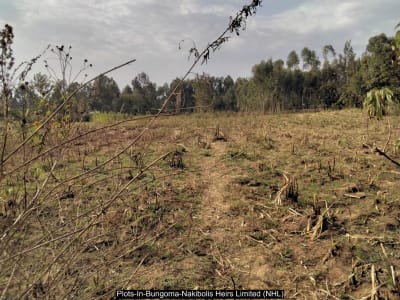 Land for sale in Bungoma