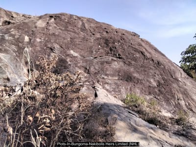 Land for sale in Bungoma