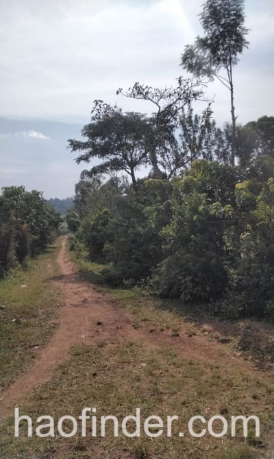 Land for sale in Bungoma