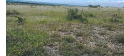 Land for sale in Kisaju near Flora Desire Kenya 600 meters off Kiserian road