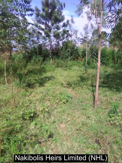 Land for sale in Webuye west