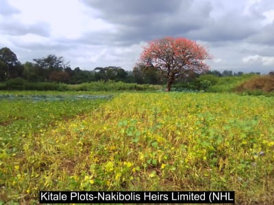 Land for sale in Endebess