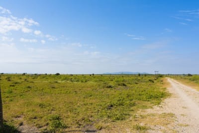 Land for sale in Konza Malili
