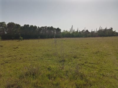Land for sale in Sifa Farm