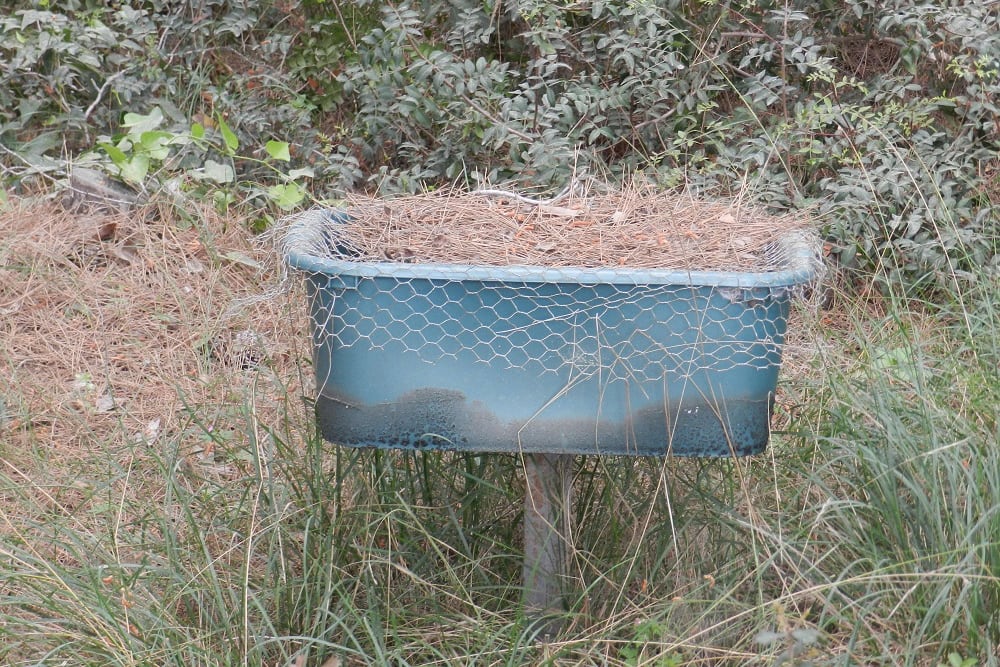 ניסויים בצימחיה - הקק"ל