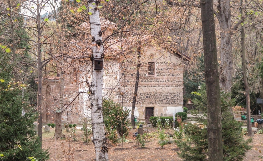 כנסיית בויאנה