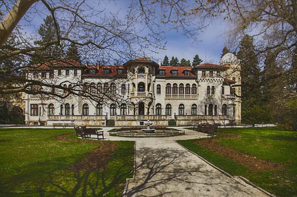 ארמון וראנה