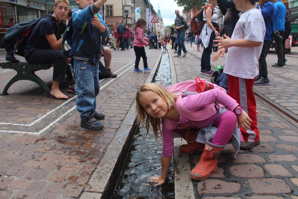 התעלות של פרָייבּוּרג - מי שנופל לתעלה יתחתן עם מקומי