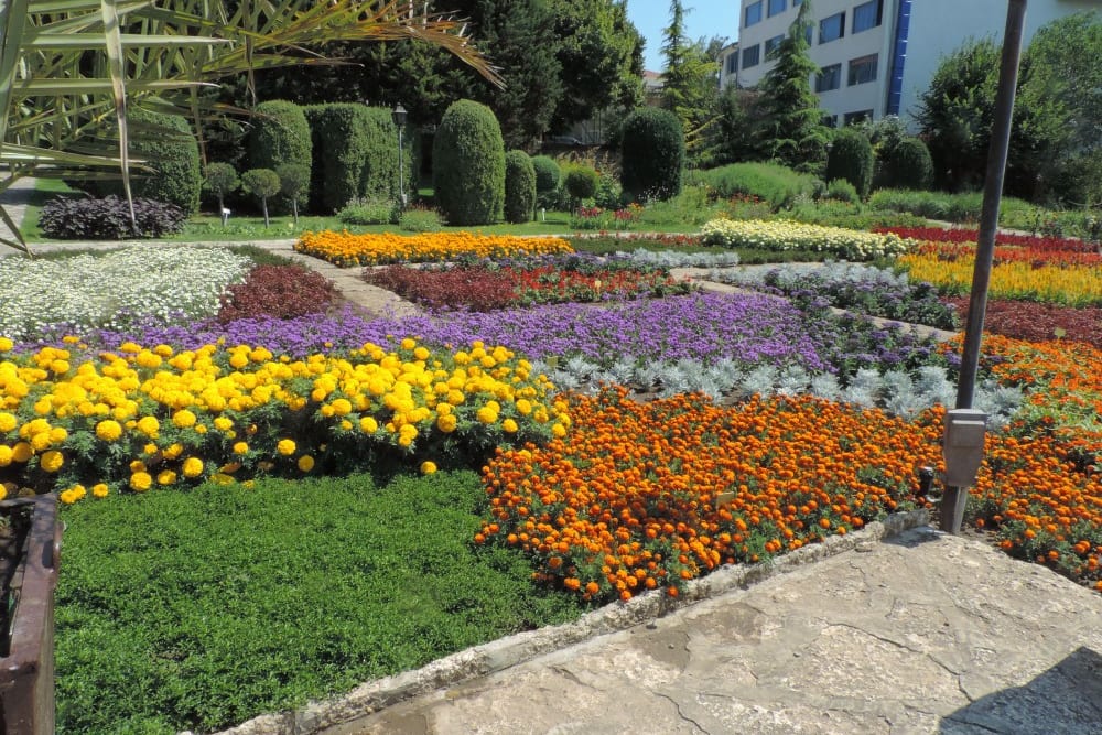 הגן הבוטני של אוניברסיטת סופיה