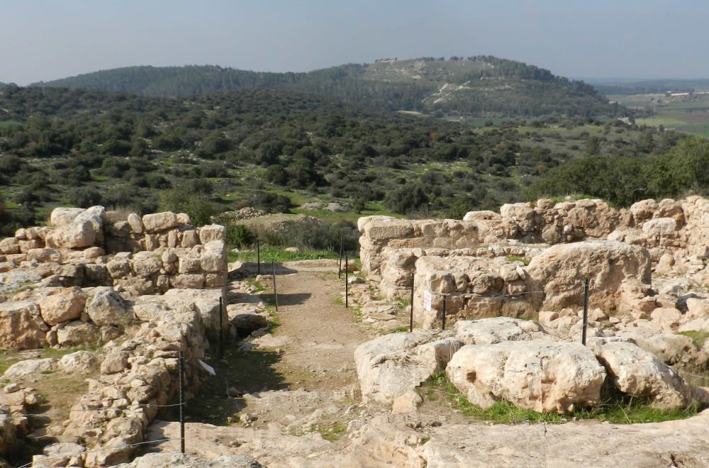 חרבת קיאפה - השער המערבי