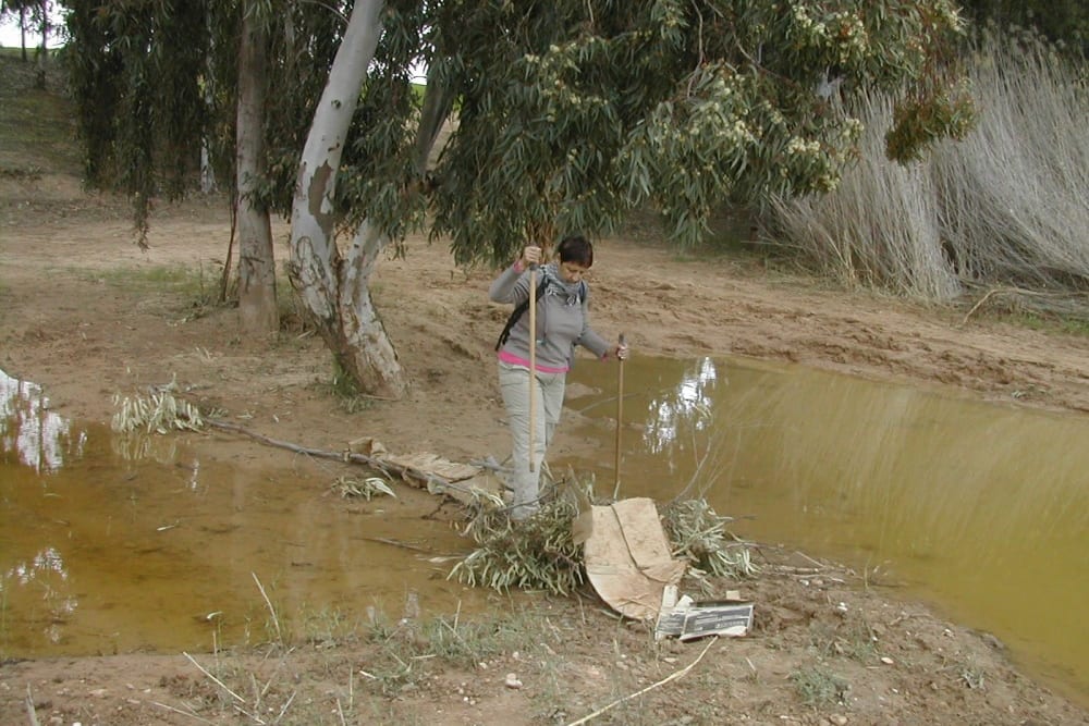 "גשר" מאולתר בנחל שקמה