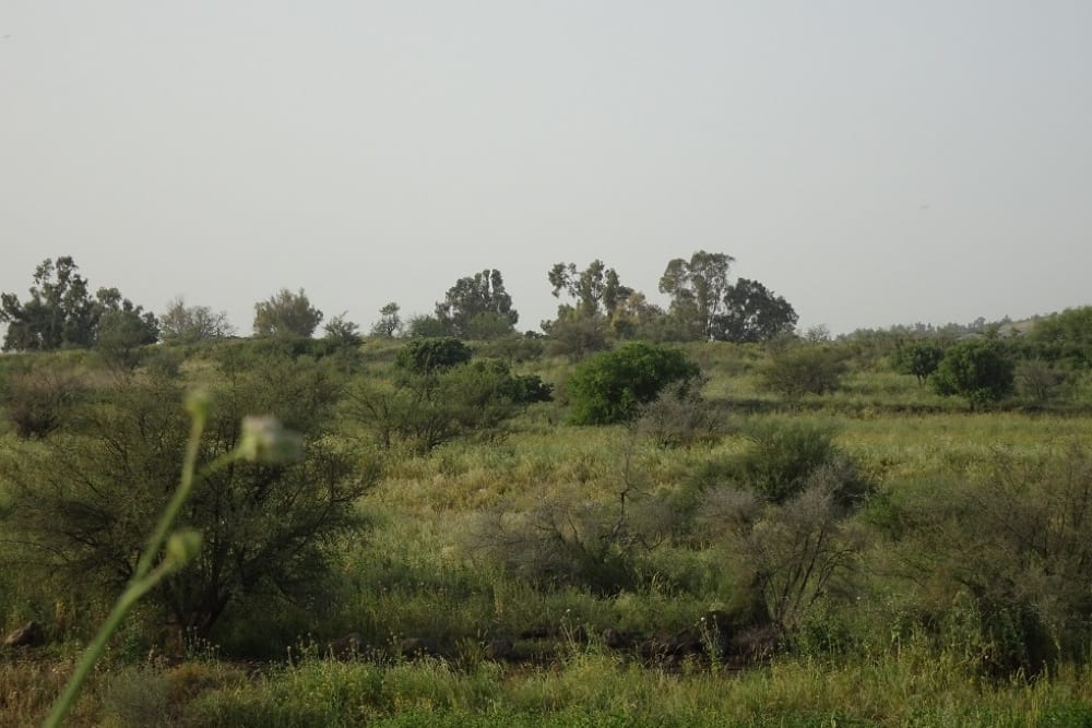 תצפית מוצב נוחילה