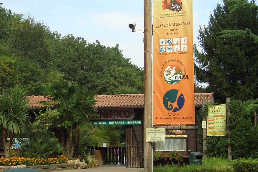 פארק נאטוּרָה ויוָוה