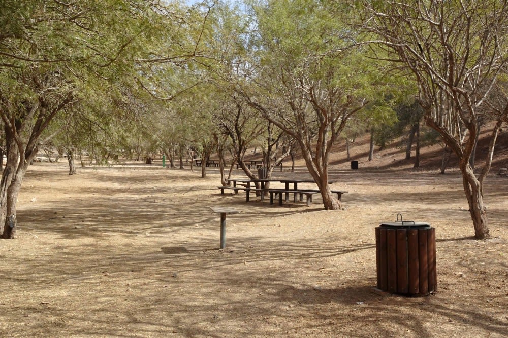 חניון הפרוזופיס