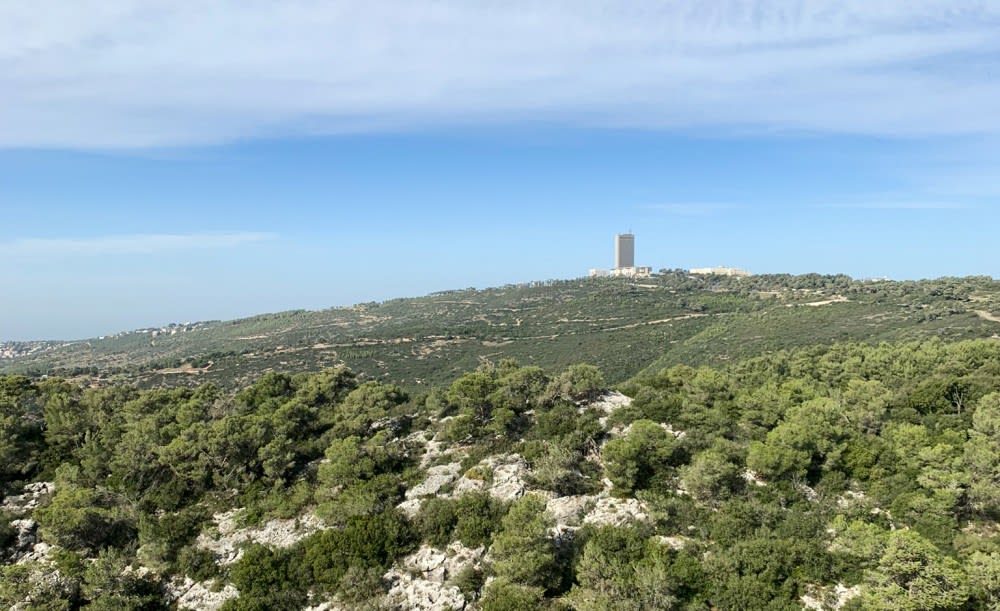 אוניברסיטת חיפה