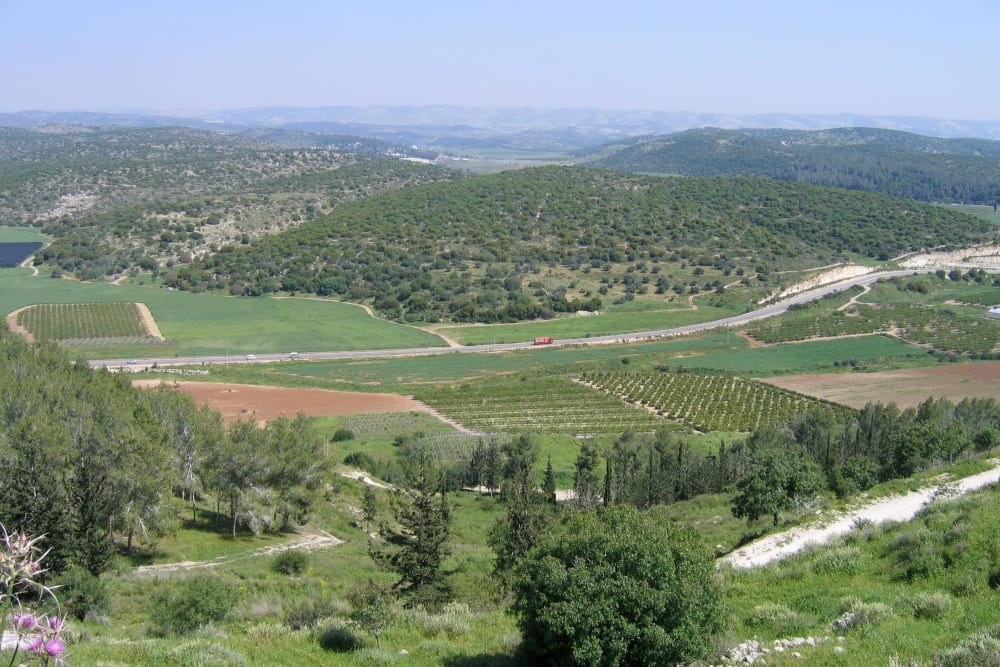 עמק האלה למרגלות תל עזקה