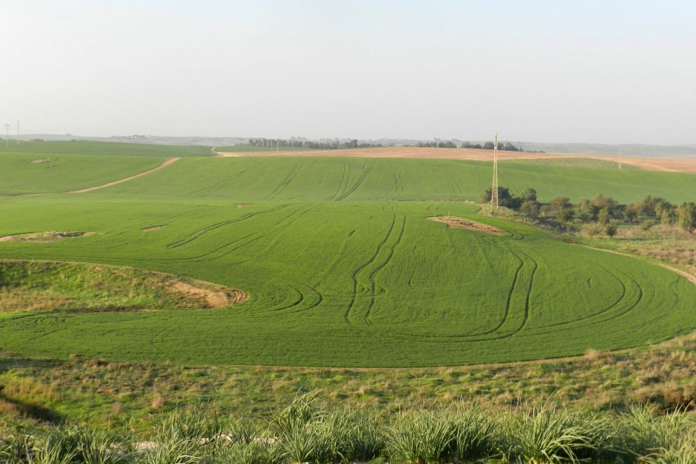 הנוף מתל קשת