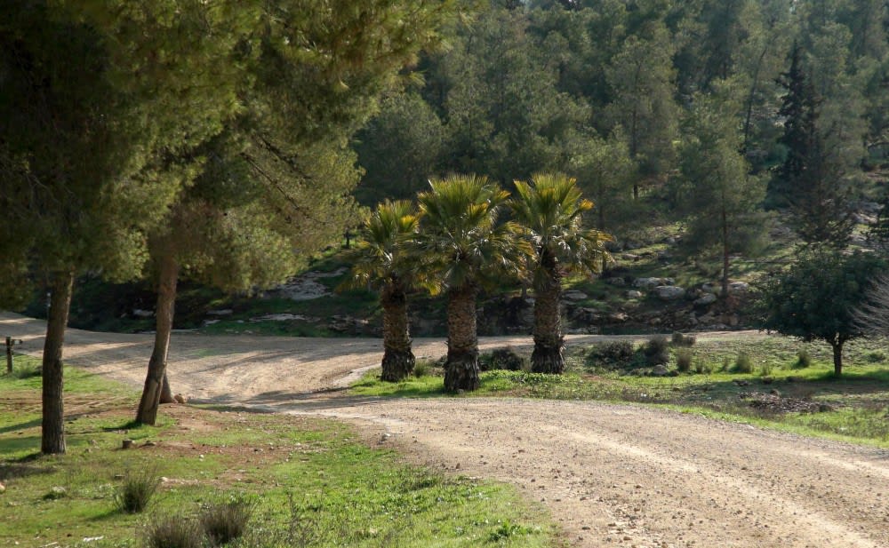 שלוש הוושינגטוניות