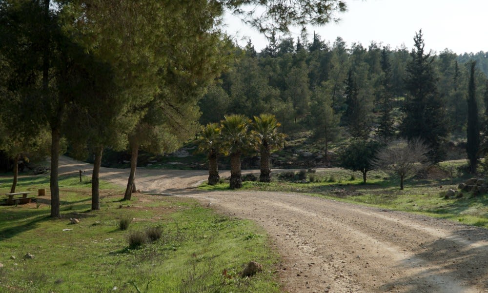 שלוש הוושינגטוניות