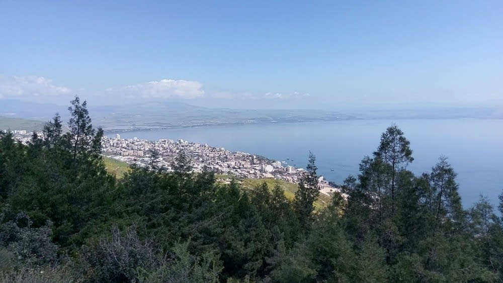 טבריה מיער שווייץ