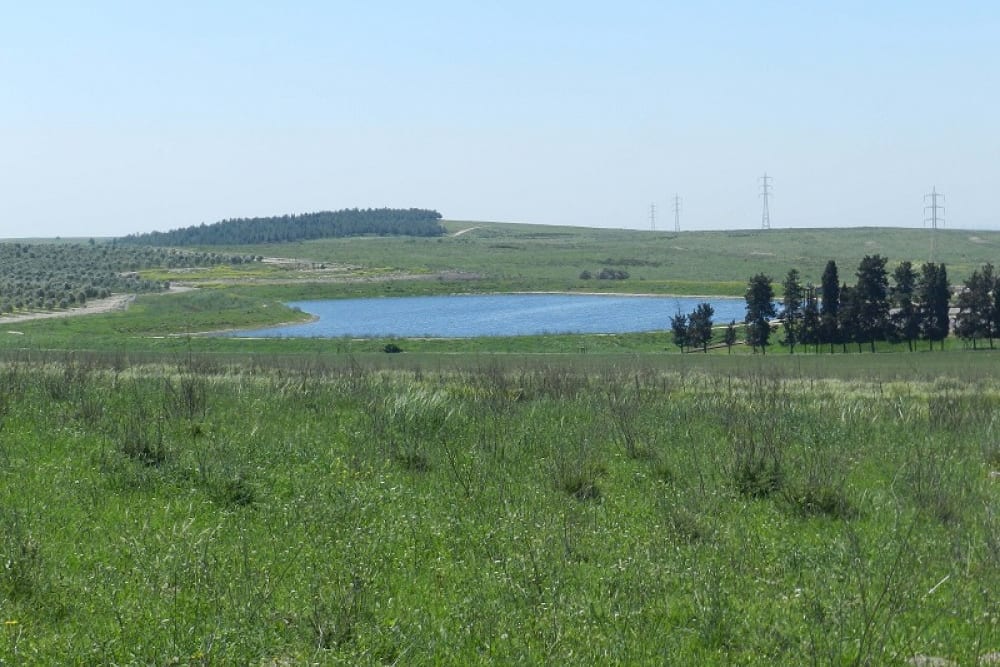 מאגר מים - עין השופט