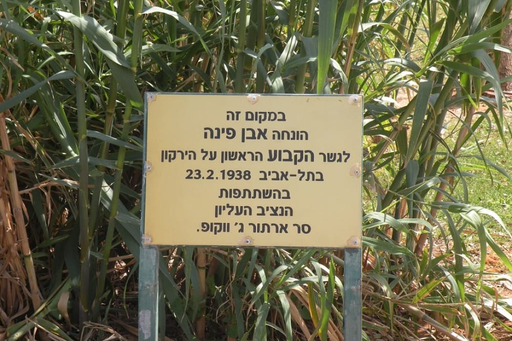 גשר ווקופ