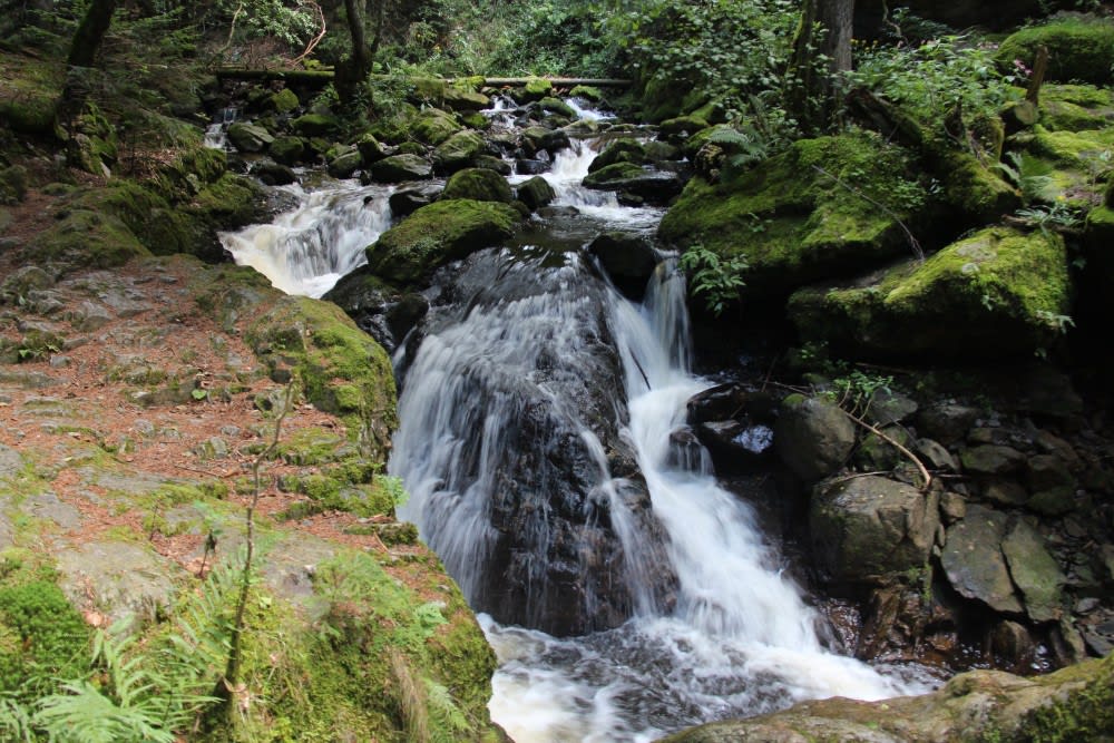 ערוץ ראווֶנָה
