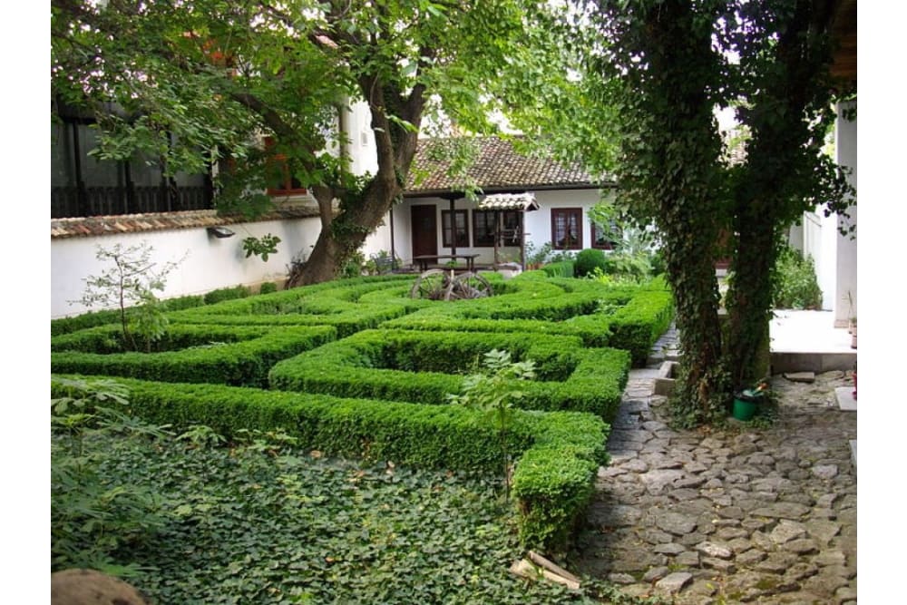 בית־מוזיאון פנאיוט וולוב