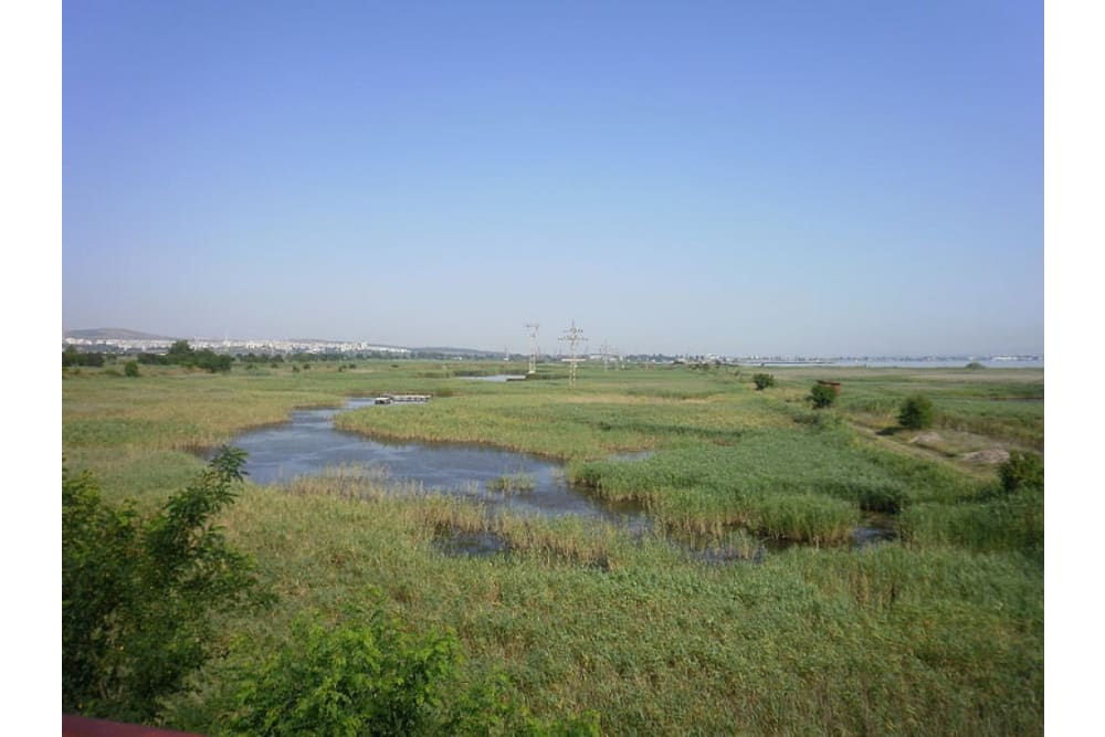 תצפית נדידת ציפורים בשמורת הטבע פודה