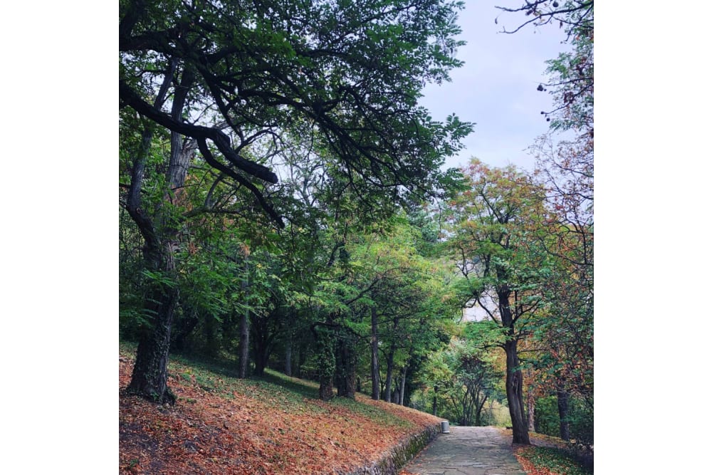 פארק הטבע מדארה - הטבע הבולגרי בשיא תפארתו