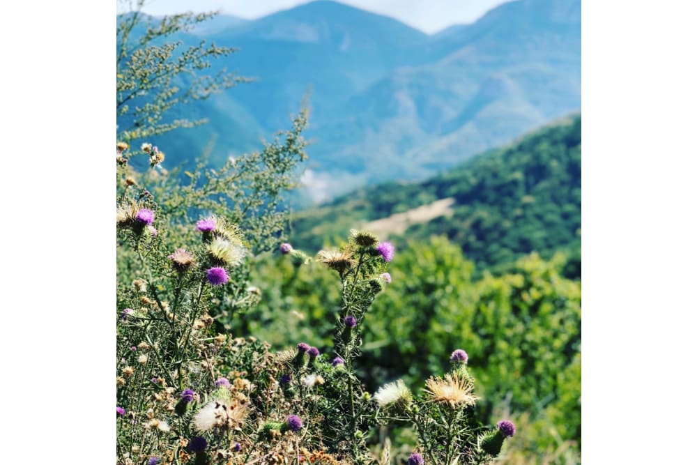 טבע עוצר־נשימה בפארק הלאומי וראצ'נסקי בלקן