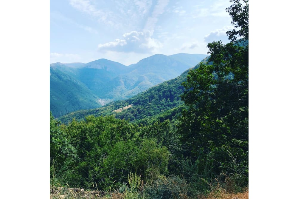 לא משנה היכן תעצרו - יחכו לכם נופים מרהיבים בשמורת הטבע וראצ'נסקי בלקן