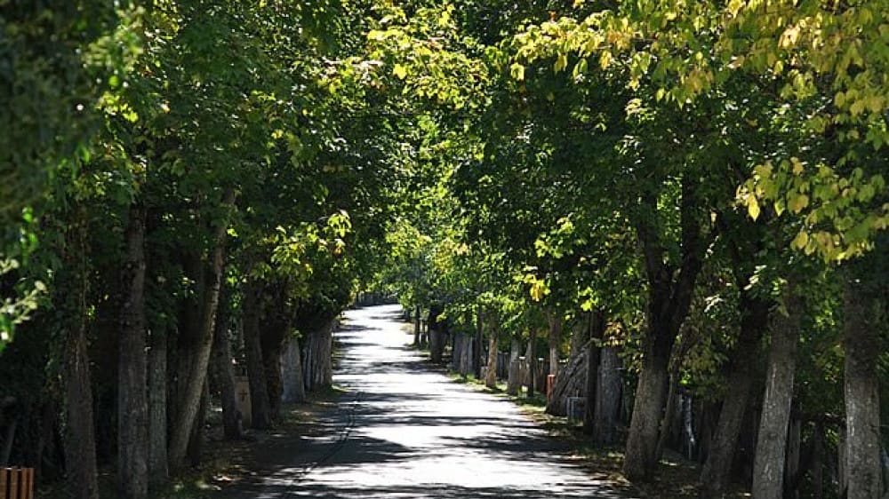 ״דרך האהבה״