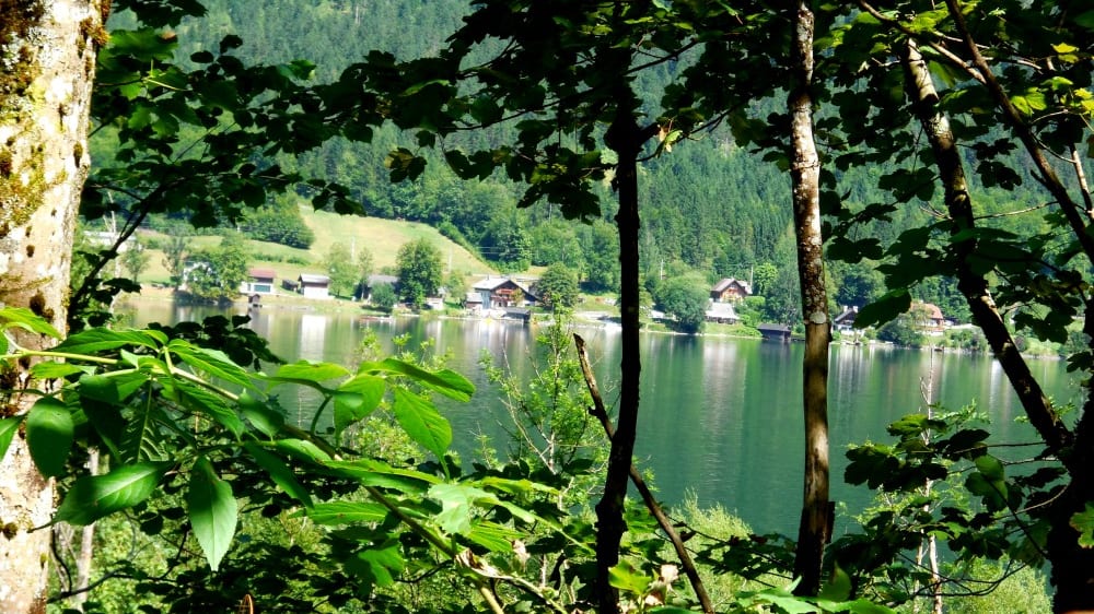 צמחייה ירוקה סביב אגם האלשטאט היפהפה