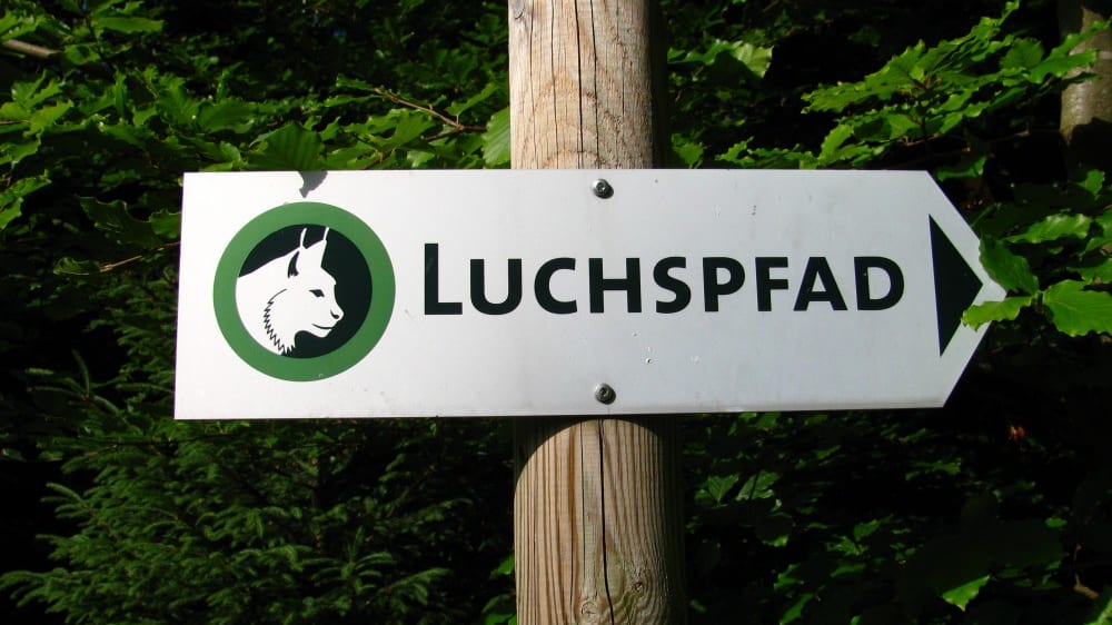 שביל השוּנָר