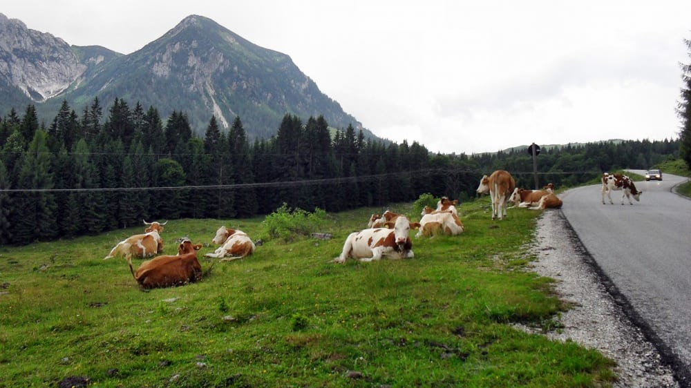 כביש פוסטאלם