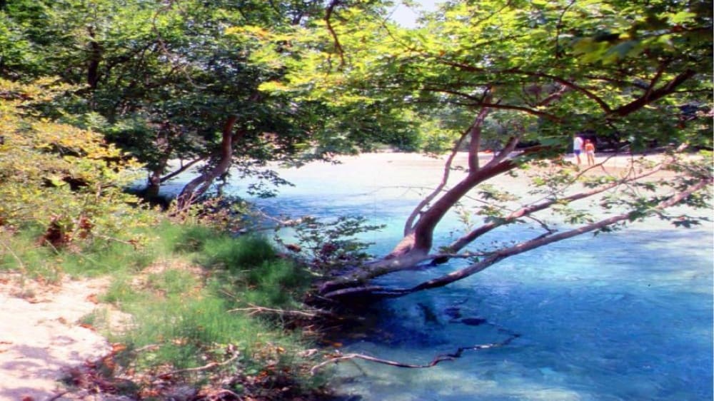 מעיינות אַכֵרוֹן