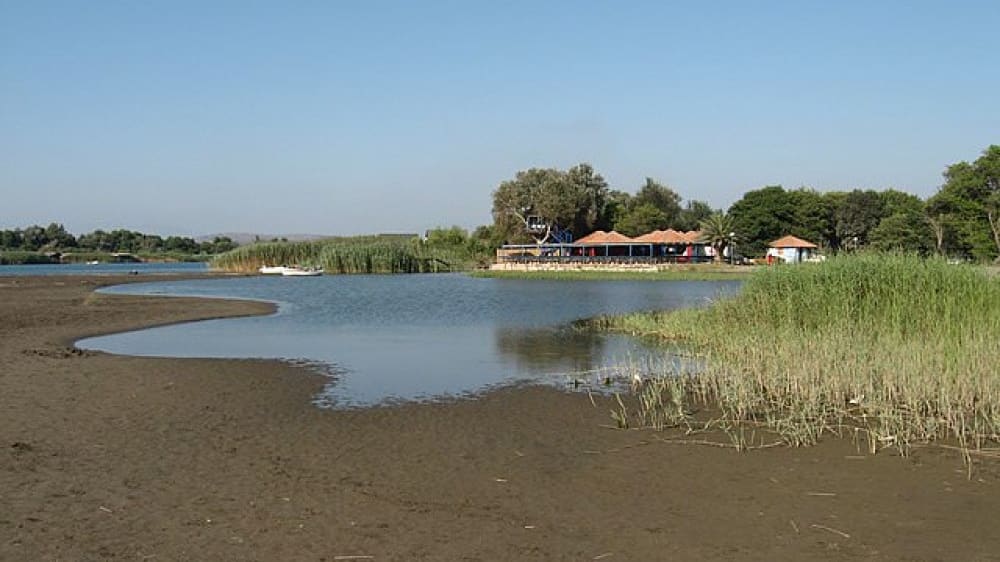 אדָה בוֹיאנָה