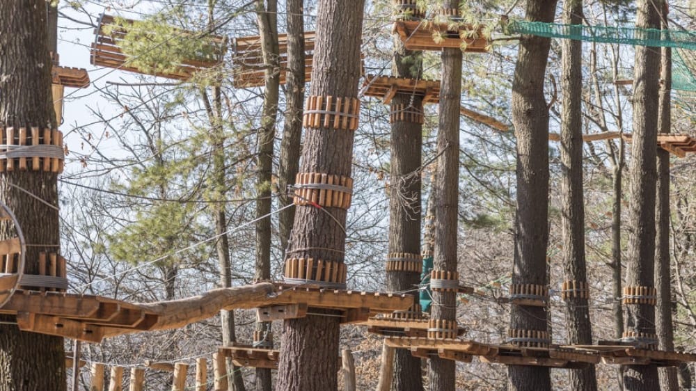 פארק ההרפתקאות לֶה פּינְיֶיה