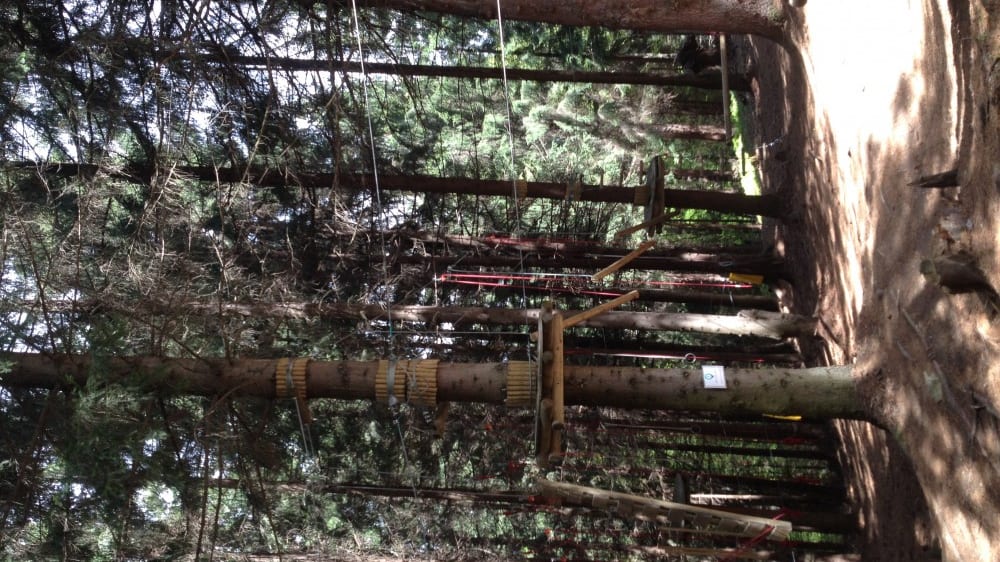 אָרקה פארק פֶּלטיניש