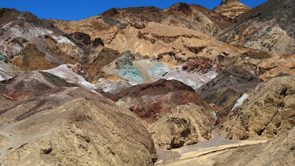 פלטת האמנים