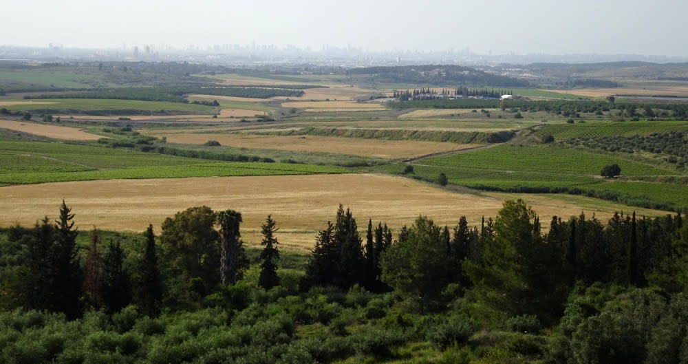 שטח ההפקר בעמק איילון כיום, בין מנזר לטרון לנחשון - צילום משביל ישראל ליד נווה שלום